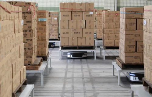 十問曠視印奇 AI公司步入深水區(qū)，友商其實(shí)不是友商，裝卸搬運(yùn)的現(xiàn)實(shí)與挑戰(zhàn)