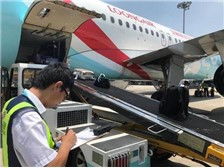 杭州蕭山億航貨運(yùn)代理部運(yùn)營部 高效裝卸搬運(yùn)服務(wù)介紹