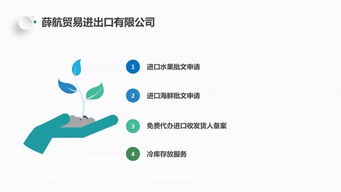 獨家分享 薛航物流綜合貨運代理一站式服務，高效裝卸搬運助力企業騰飛